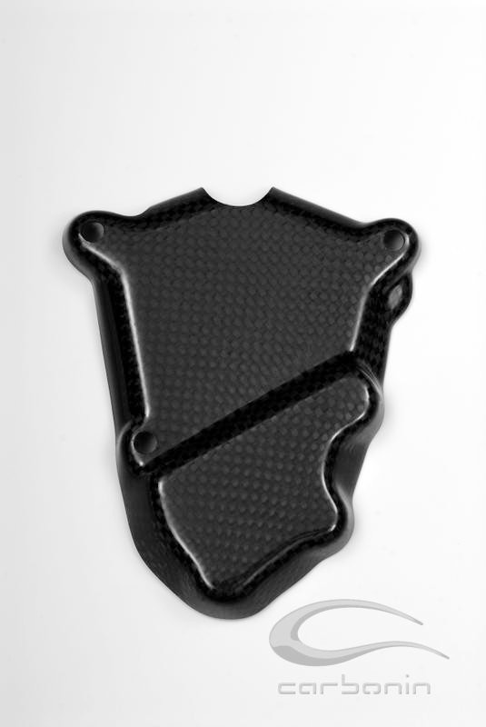 CARBONIN CARBON FIBER PICK UP COVER FOR BMW S1000RR (2009-18) CARBONIN CARBON FIBER PICK UP COVER FOR BMW S1000RR (2009-18)