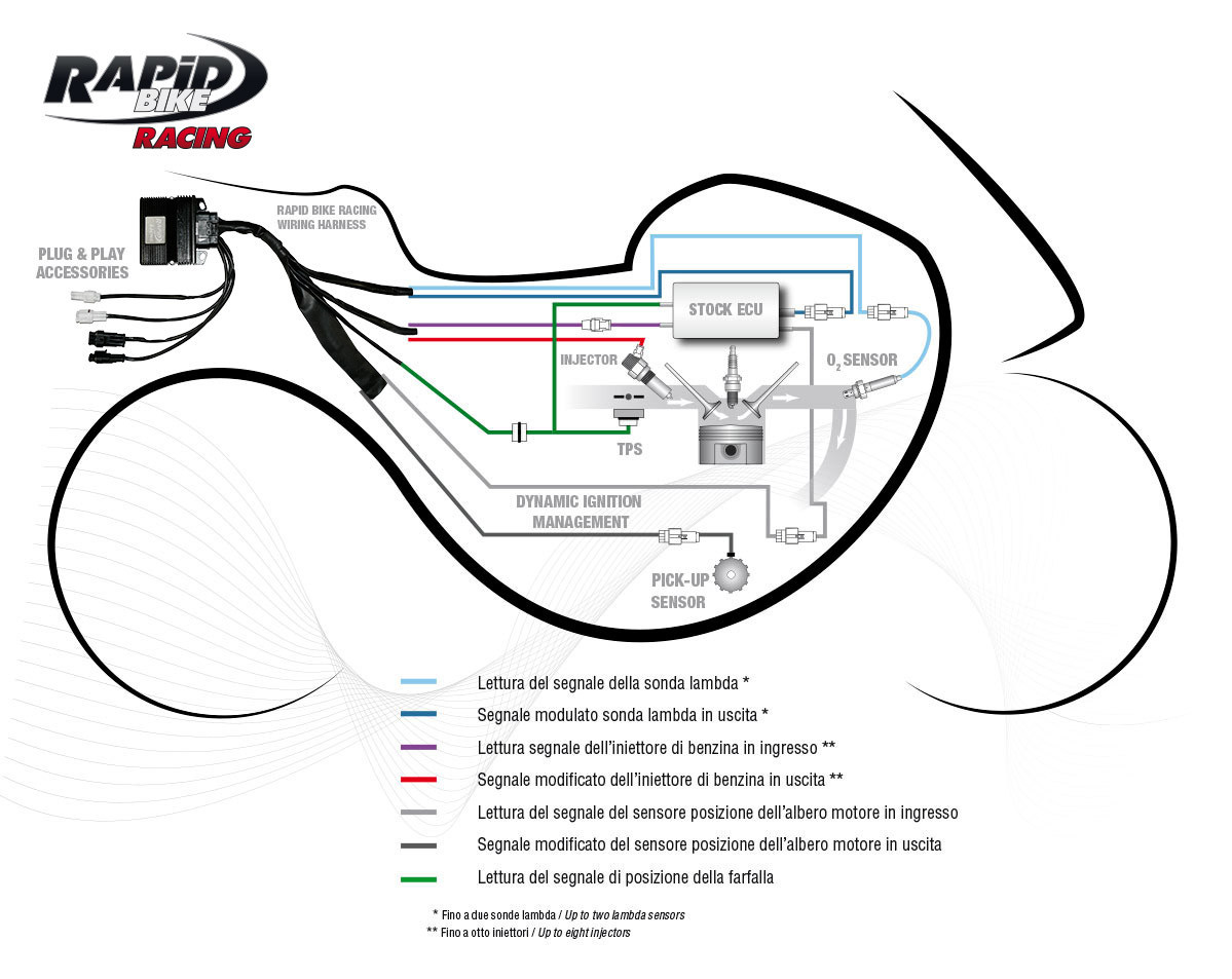 RapidBike RACING Self Adaptive Fueling Control Module for the
