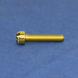 Proti Rear Brake Cylinder Bolt Kit for the Ducati Monster 821 (2015) Proti Rear Brake Cylinder Bolt Kit for the Ducati Monster 821 (2015)