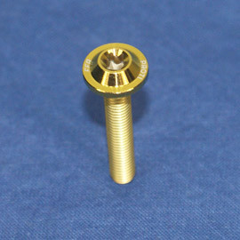 Proti M5 Universal Bolt M5L30-OTB01 Proti M5 Universal Bolt M5L30-OTB01