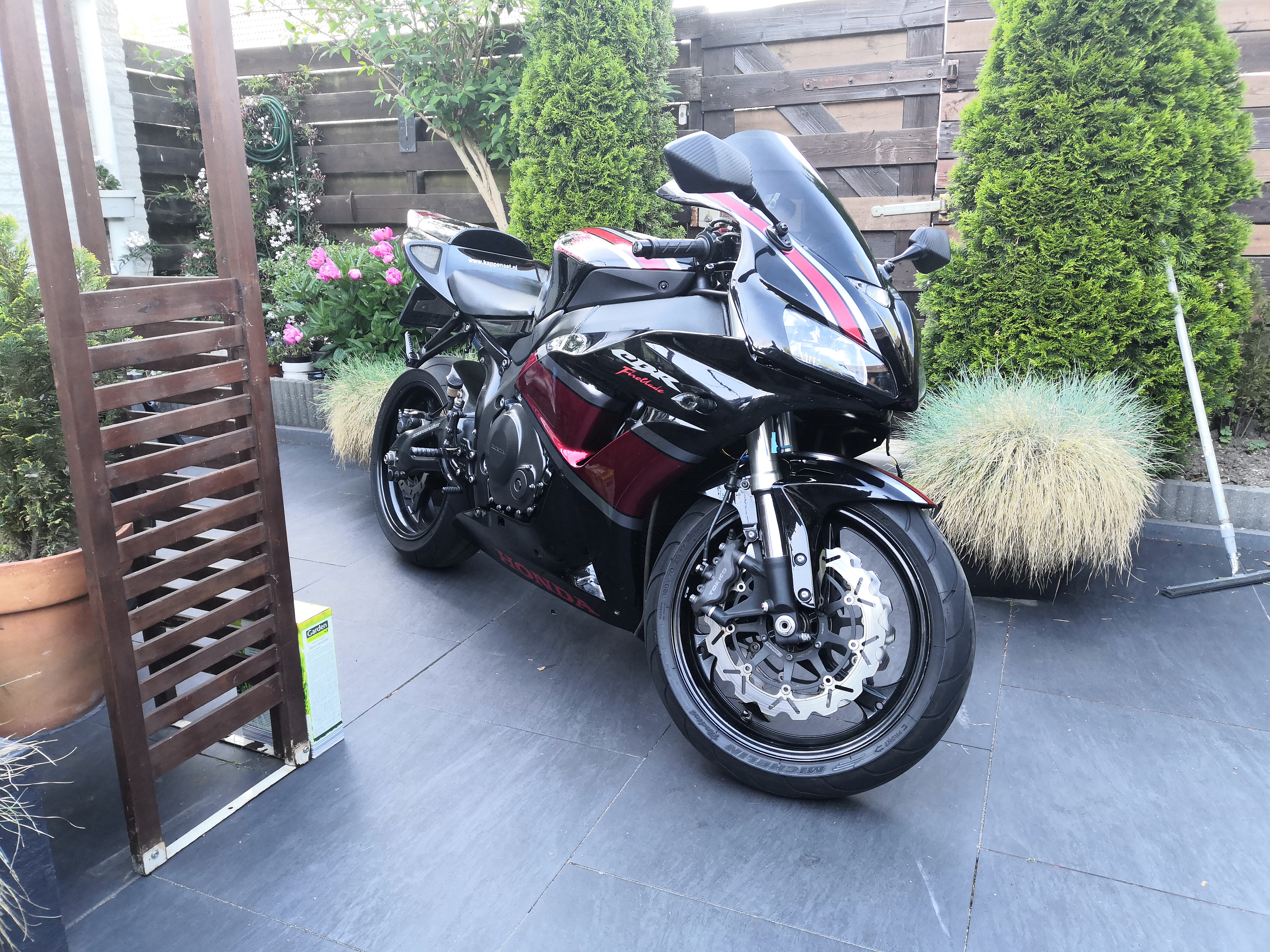 新品☆タグ付き☆ANNA SUI アナスイ熱帯魚モチーフピアス アナスイ ピアス（ピアス｜レディースジュエリー